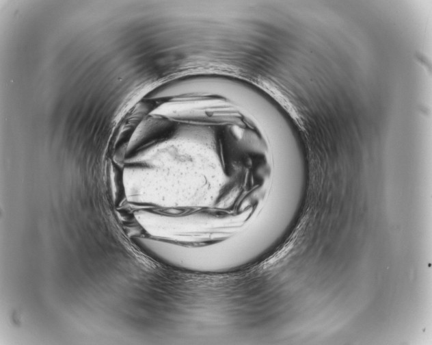 X0000094960885200712271717