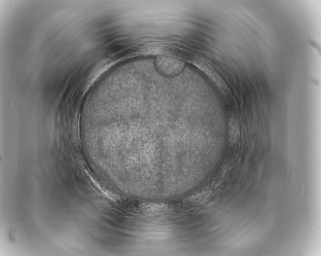 X0000094960886200712271717