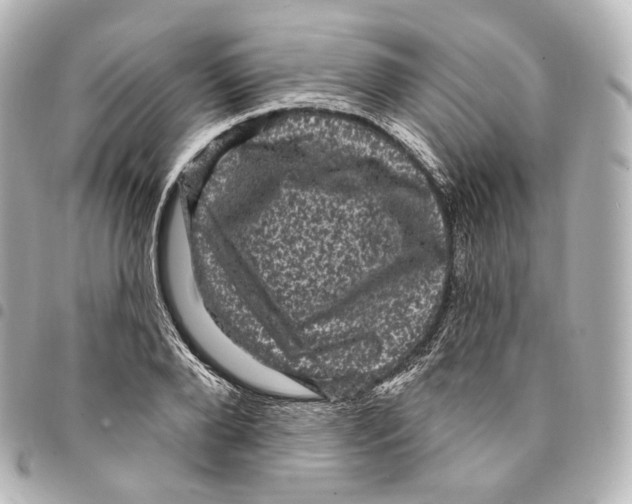X0000094960888200712271717