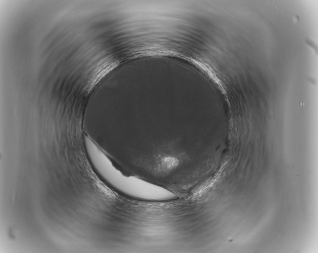X0000094960889200712271717