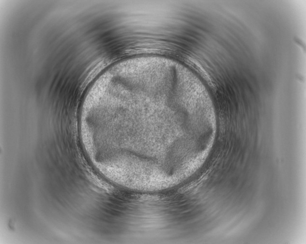 X0000094960890200712271717