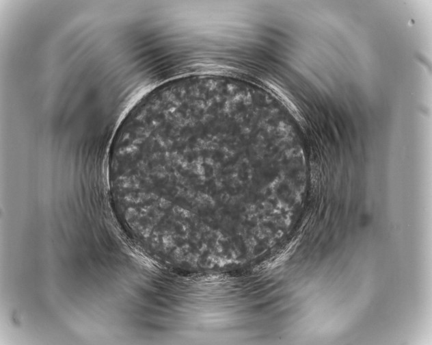 X0000094960891200712271717