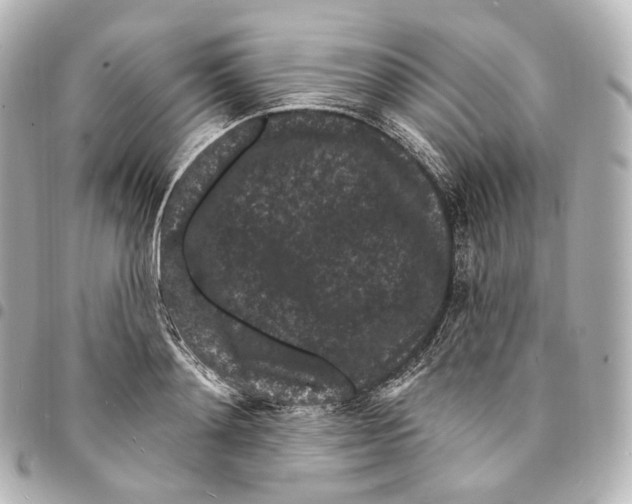 X0000094960892200712271717