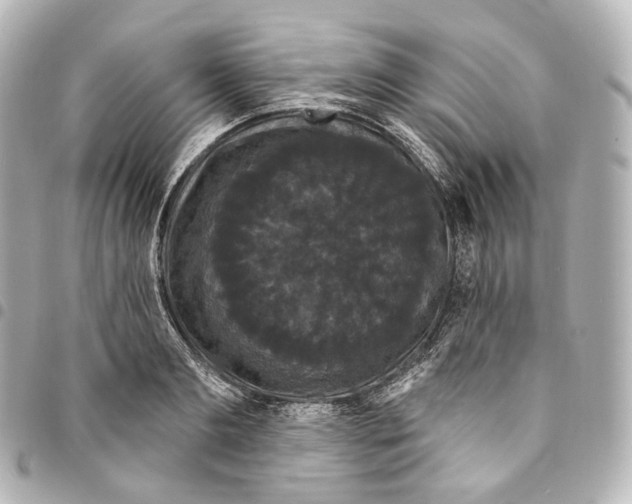 X0000094960893200712271717