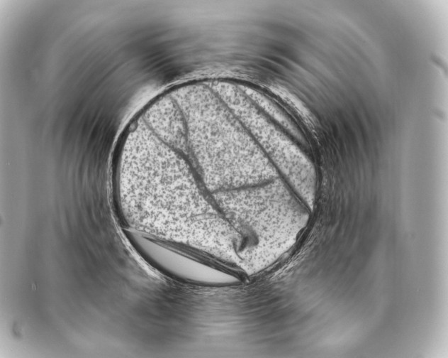 X0000094960894200712271717