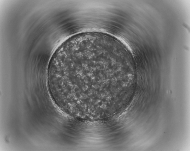 X0000094960895200712271717