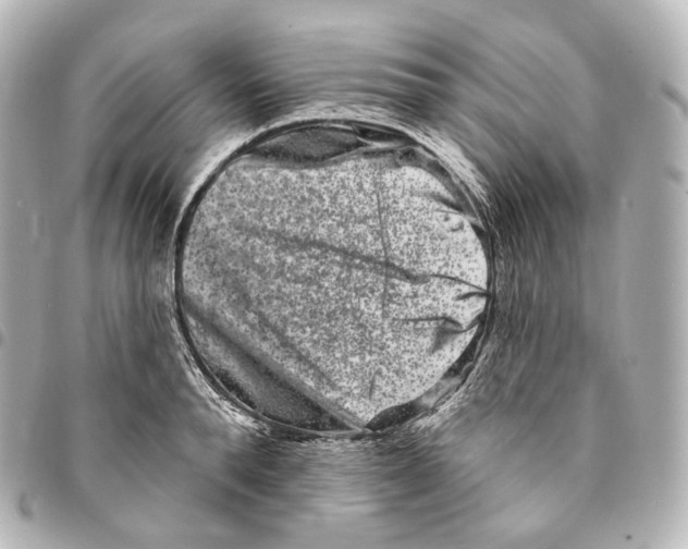 X0000094960896200712271717