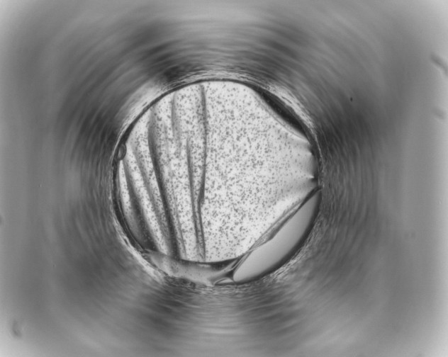 X0000094960898200712271717