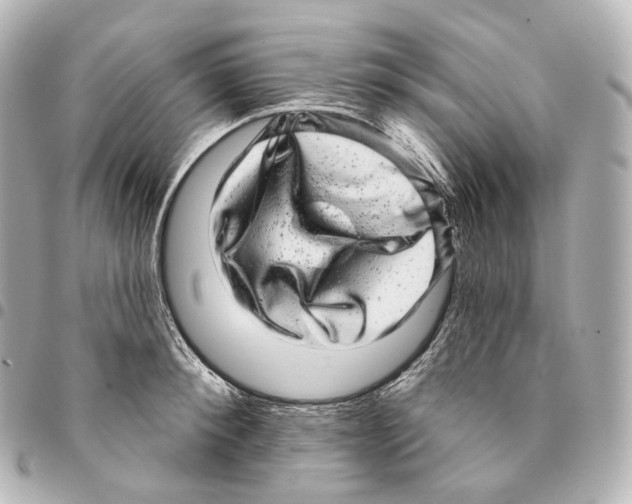 X0000094960900200712271717