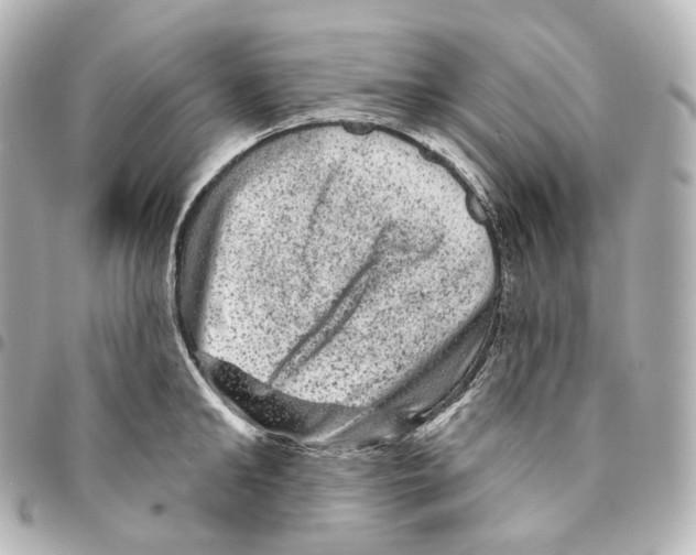 X0000094960902200712271717