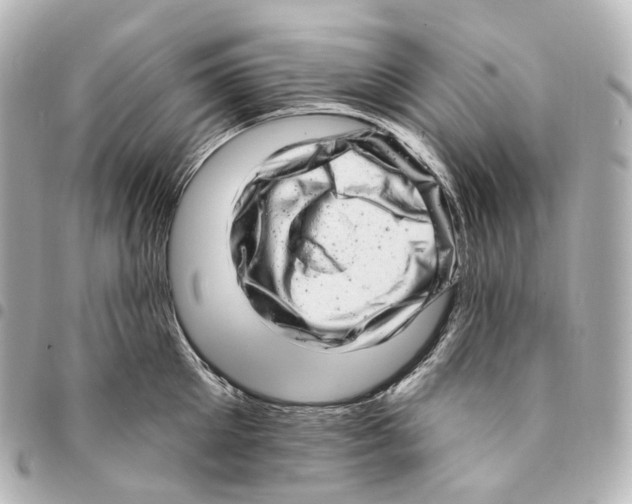 X0000094960905200712271717