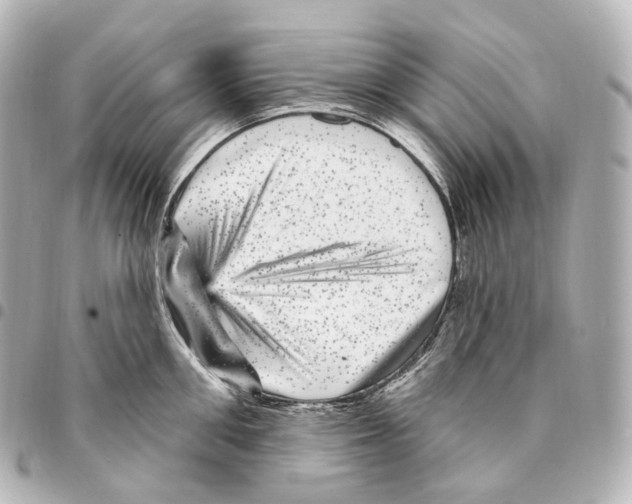 X0000094960906200712271717