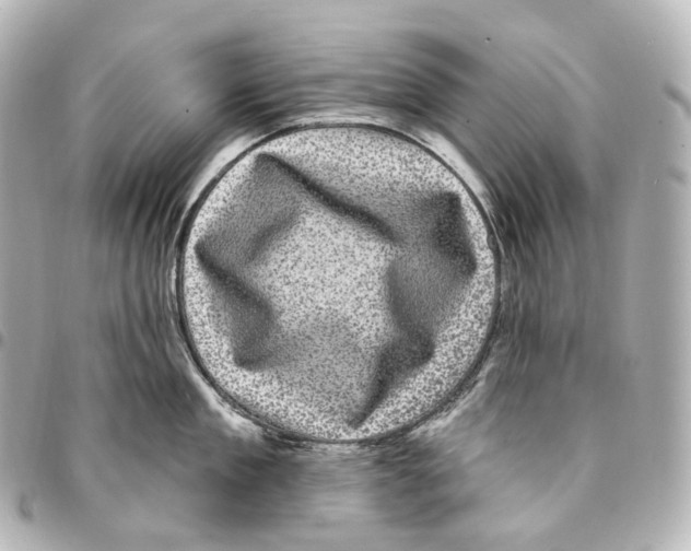 X0000094960909200712271717