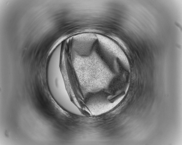 X0000094960910200712271717