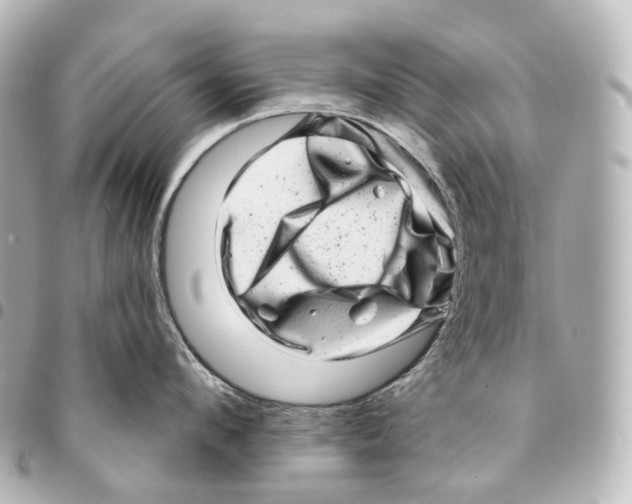 X0000094960912200712271717