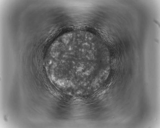 X0000094960913200712271716