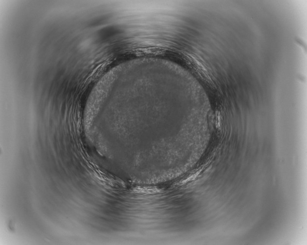 X0000094960915200712271716