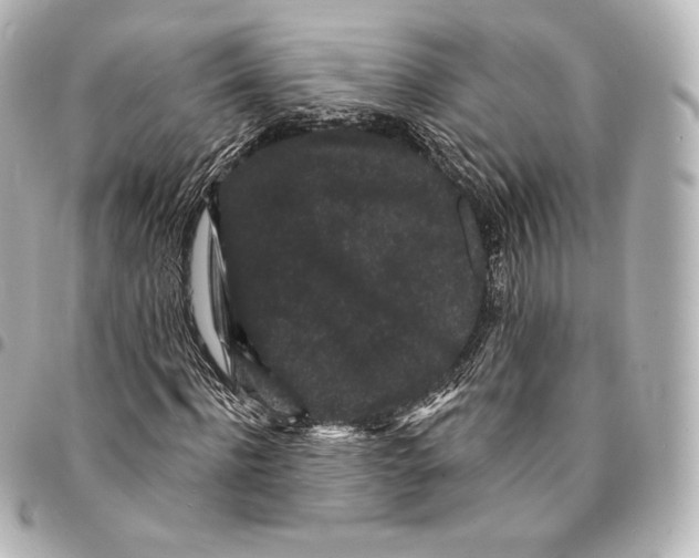 X0000094960916200712271716