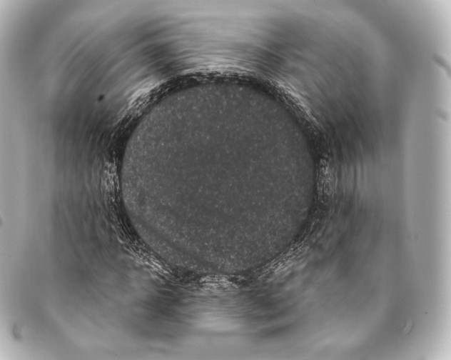 X0000094960918200712271716