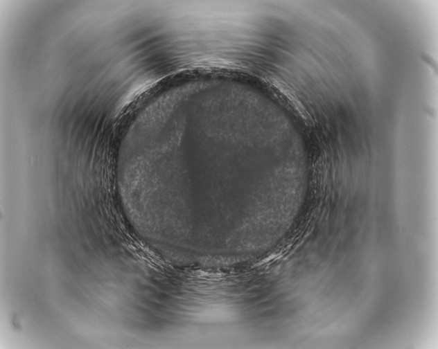 X0000094960919200712271716
