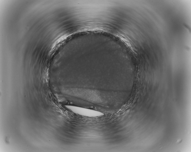 X0000094960920200712271716