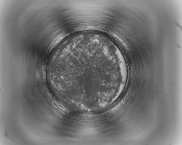 X0000094960921200712271716