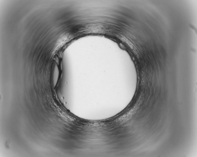 X0000094960922200712271716