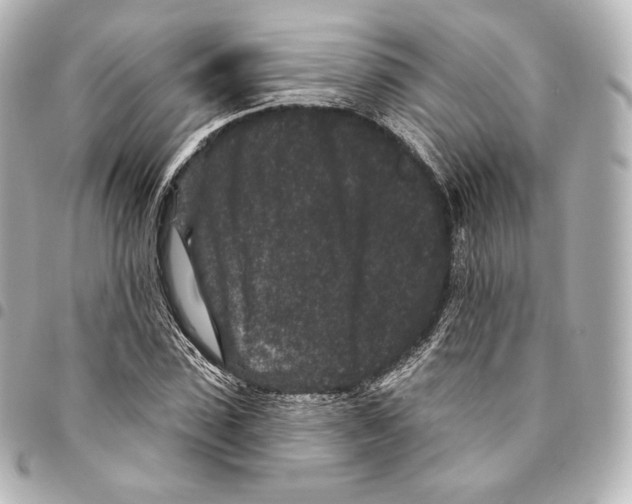 X0000094960923200712271716