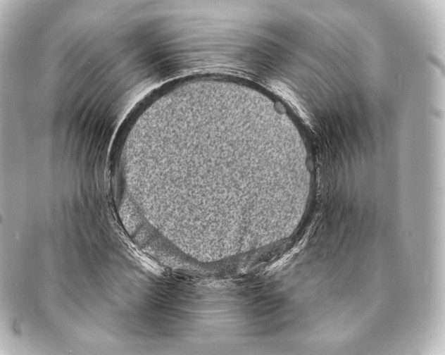X0000094960924200712271716