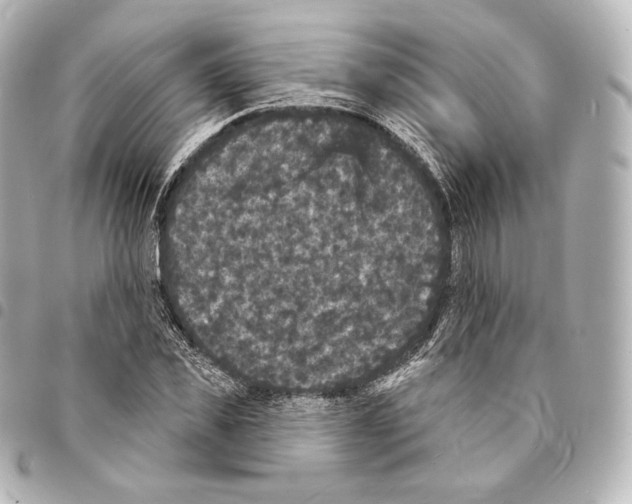 X0000094960925200712271716