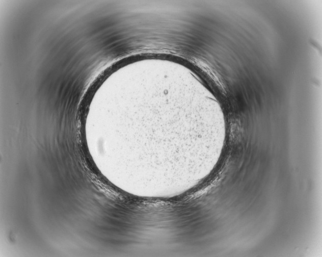 X0000094960926200712271716