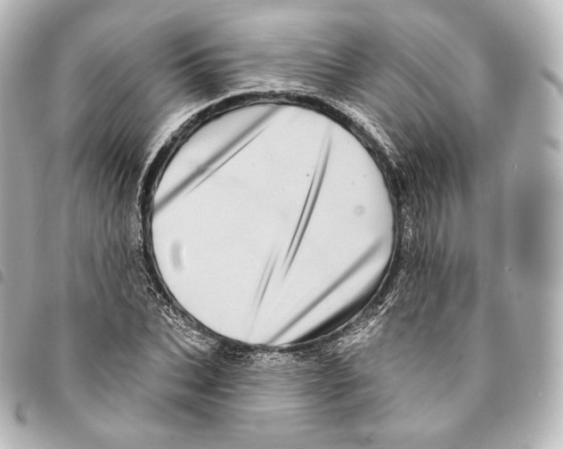 X0000094960927200712271716