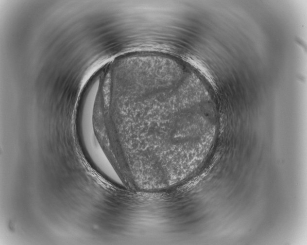 X0000094960928200712271716