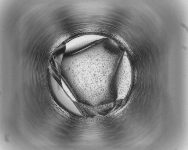 X0000094960930200712271716