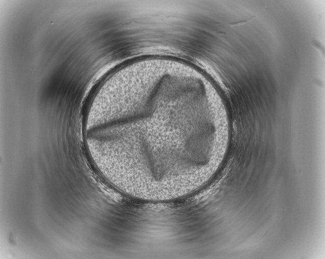 X0000094960931200712271716
