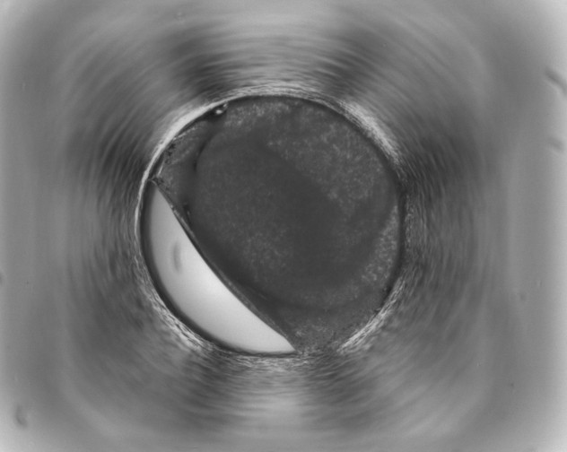 X0000094960932200712271716