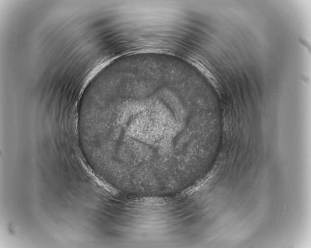 X0000094960933200712271716