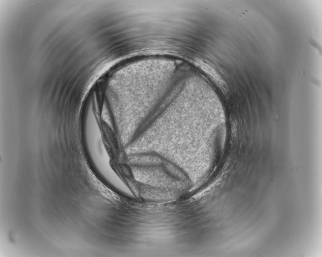 X0000094960934200712271716