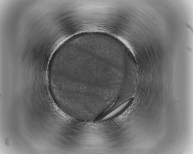 X0000094960935200712271716