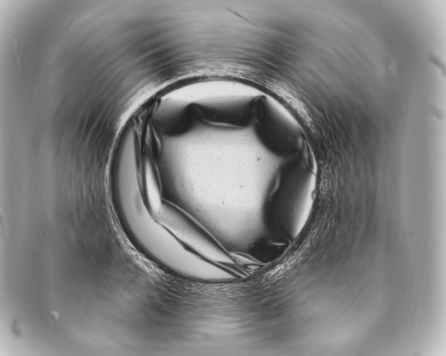 X0000094960936200712271716