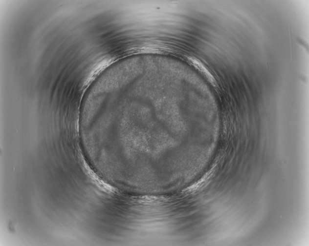 X0000094960938200712271716