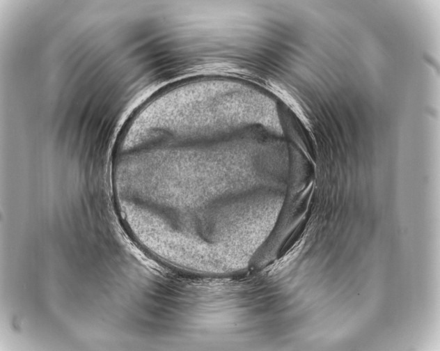 X0000094960939200712271716
