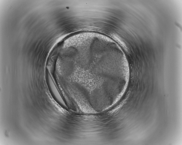 X0000094960940200712271716