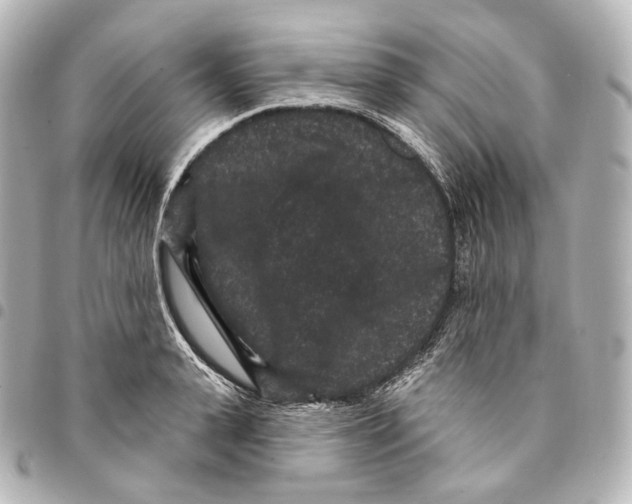 X0000094960943200712271716