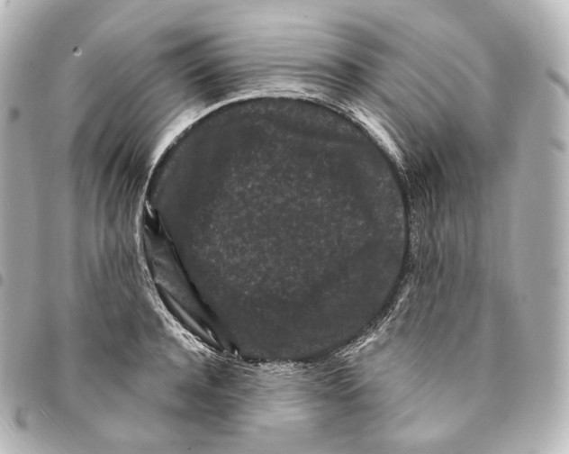 X0000094960944200712271716