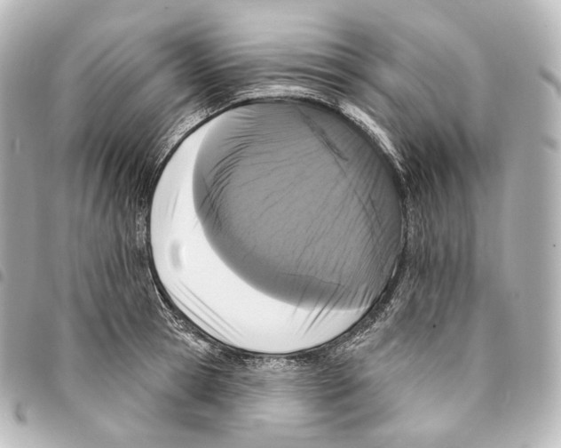 X0000094960945200712271716