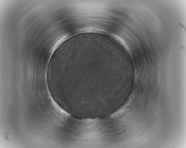 X0000094960946200712271716