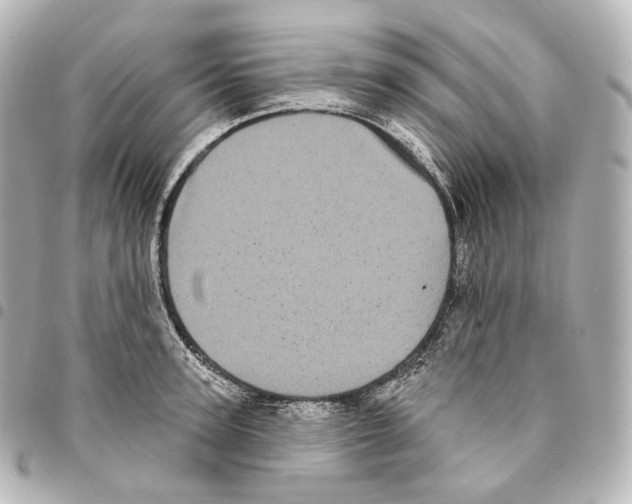 X0000094960947200712271716