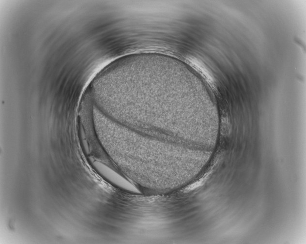 X0000094960948200712271716
