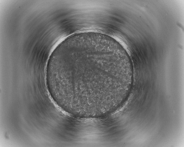 X0000094960949200712271716
